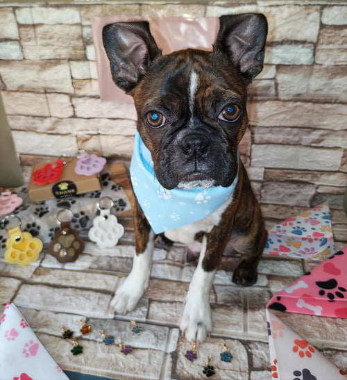 FurEver Snazzy bandanas